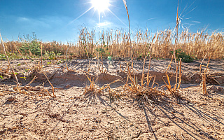 Susza rolnicza na Warmii i Mazurach. Niedobory wody występują w kilku województwach
